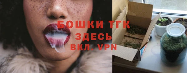 тгк Снежинск