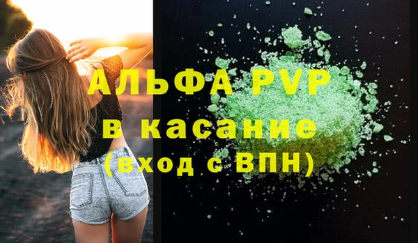 гашик Грязовец